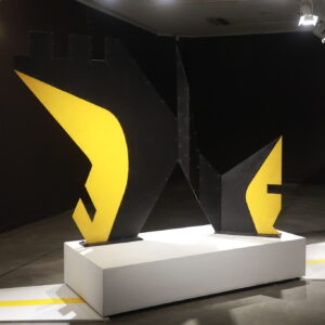 54140505833_8cc2480df0_k